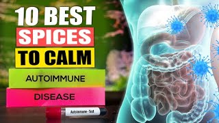 Top 10 Best Spices To Calm Autoimmune Disease Reduce Inflammation Top 10 Spices To Eat Now