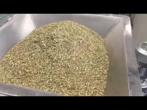 green tea leaf powder grinding milling machine - YouTube