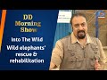 DD Morning Show | Into The Wild | Wild elephants’ rescue &amp; rehabilitation | 1st May 2024