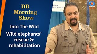 DD Morning Show | Into The Wild | Wild elephants’ rescue & rehabilitation | 1st May 2024