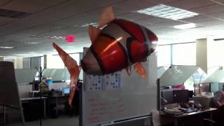 Flying Nemo Airswimmer