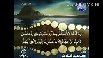 سورة الأنعام - من آية ( 119 ) إلى آية ( 124 ) - للشيخ : محمد صديق المنشاوي .