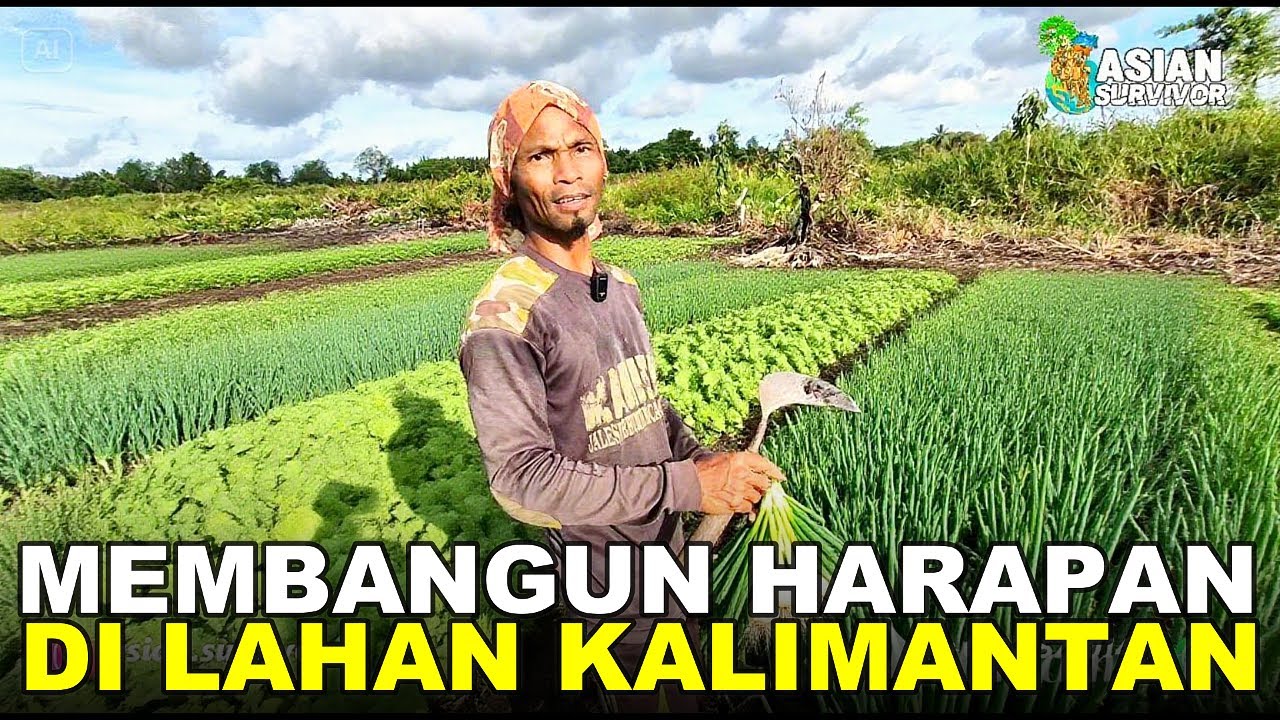 PAK MOHDAR DARI MADURA, BANGKITKAN HARAPAN DI LAHAN BEKAS RAWA TRANSMIGRASI KALIMANTAN UTARA