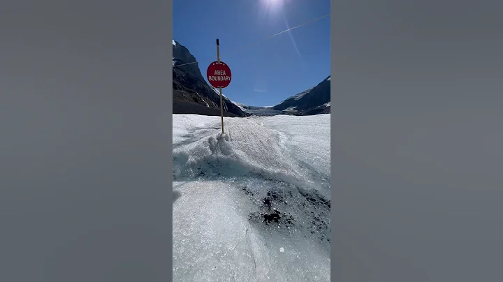 Drink the glacier water (they said 😬) #shorts #nature #canada #glacier