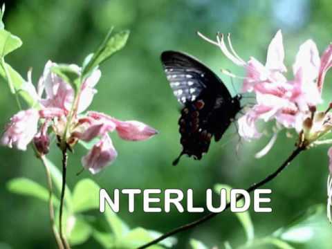 Piring Pecah - Didi Kempot - Lyric + Minus One (Tanpa Vocal)