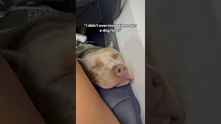 I Love Hearing That Tho