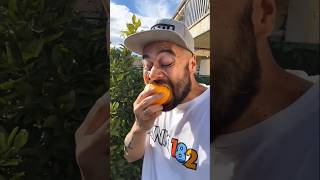Want to try my oranges? - YouTube