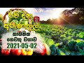 Rividina Arunella - කාබනික ගෙවතු වගාව | 2021- 05- 02 | Rupavahini | Agricultural Programme