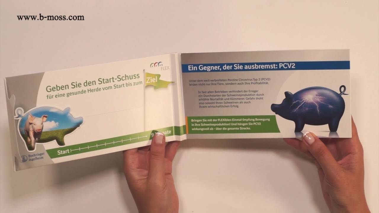 213. Direktmailing mit einem Bewegungselement aus Papier - "Schwein gehabt!"