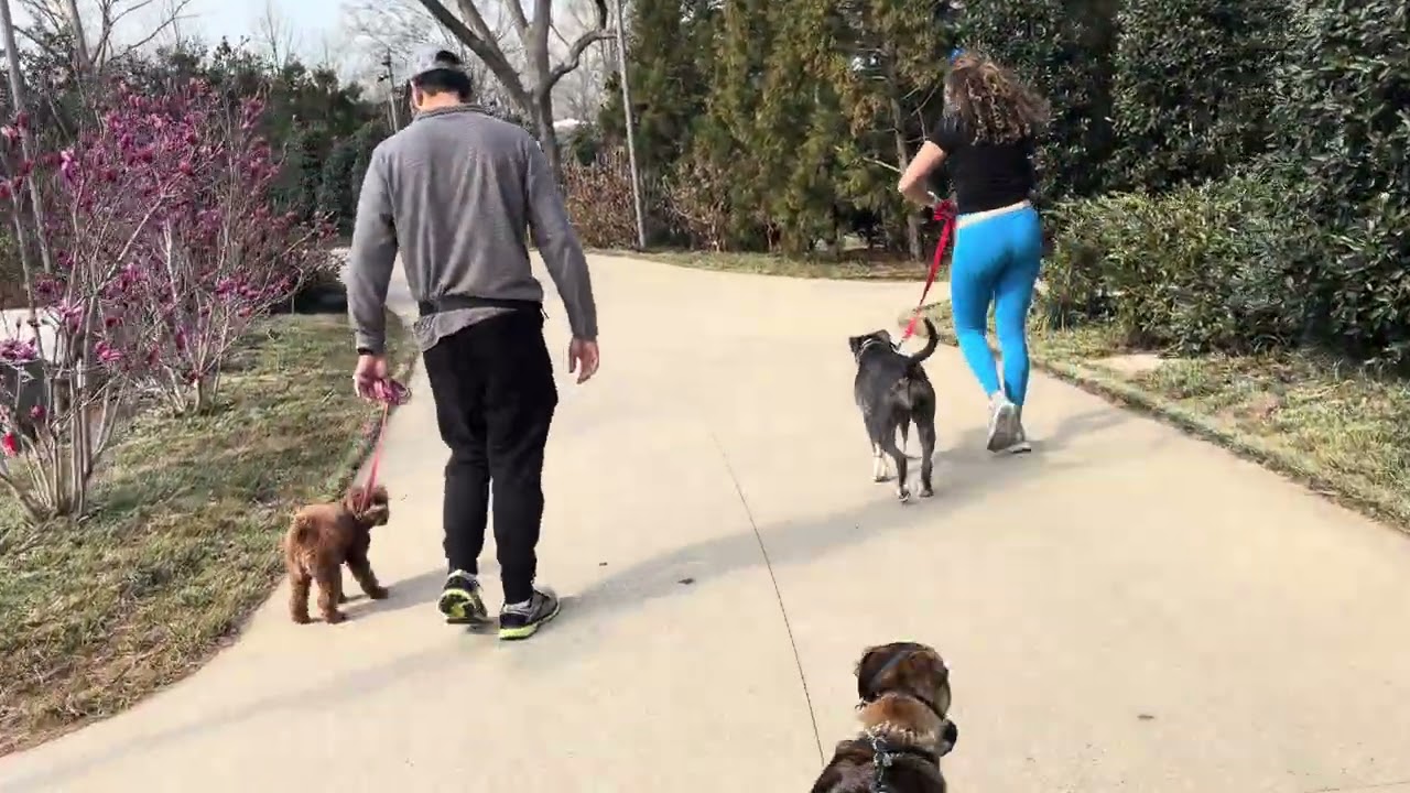 Junie and Zoe moon 1