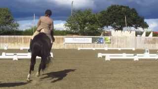 P4 dressage