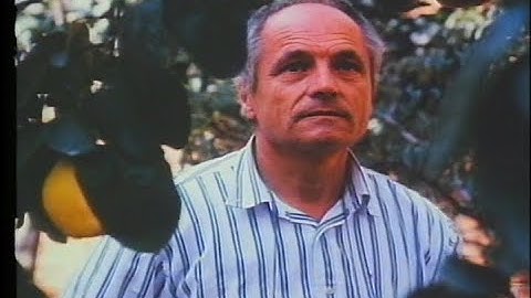 マルメロの陽光　EL SOL DEL MEMBRILLO　劇場版予告編