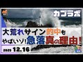 【カブラボ】12/16 大荒れサイン的中も、日本株 急落の真の理由がヤバイ展開に！