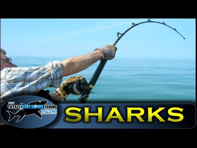 Shark Fishing Tips - How to Make a Shark Rig for Surf Fishing