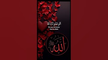 قرآن كريم _ تلاوة خاشعة #قرآن #راحة_نفسية #اكسبلور #لايكات #duet