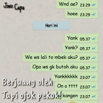 Story WA jowo cupu