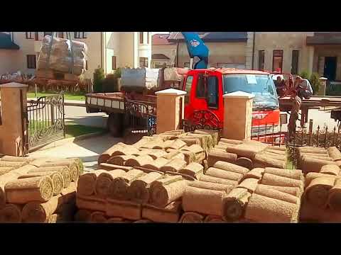 Процесс укладки рулонного газона на объекте, сезон 2017