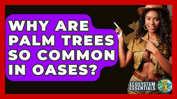 Why Are Palm Trees So Common In Oases? - Ecosystem Essentials