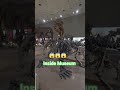 Dinosaur Skeleton inside museum #museum #shortvideo #shorts