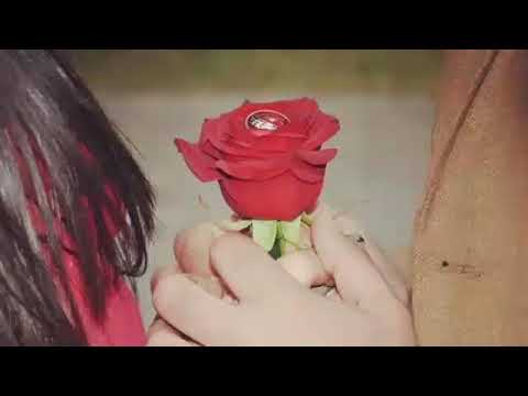 يابعدهم كلهم ياسراجي بينهم