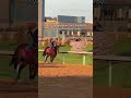 One of the most anticipated horses in the U.S. — is he your pick in today’s Arkansas Derby?!#derby