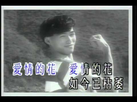 多少柔情多少淚 鳳飛飛