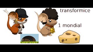 Transformice un salon avec eddiesti 1mondial