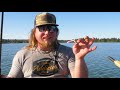 TROUT FISHING 201 - Trout Fishing Tips, Rigs, & Lures! (Catch More Trout)