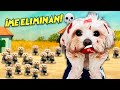 Perrita DASHA en PELIGRO en el JUEGO del CALAMAR de la vida real / Vídeos de Perritos