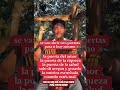 Te llegará una abundancia #viral #newyork #parati #tips #hechizos