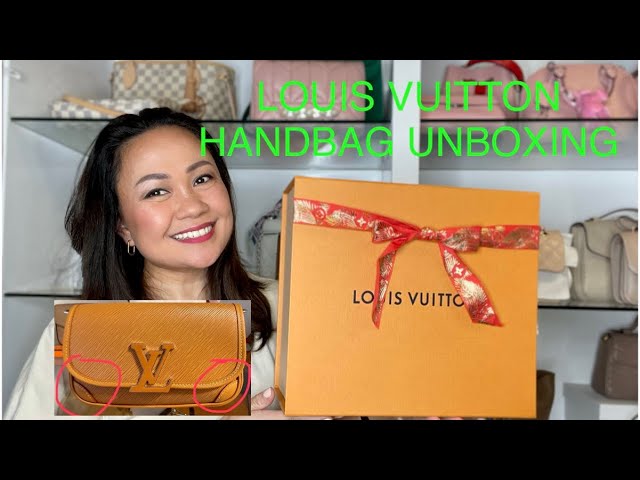 Louis Vuitton Buci Bag – ZAK BAGS ©️