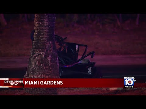 Person in wheelchair dies after being struck by Jeep in Miami Gardens