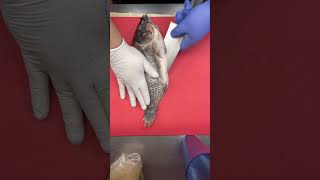 Cmo Partir Mojarras Plancha california inglewood amigos food jedi starwar mojarras