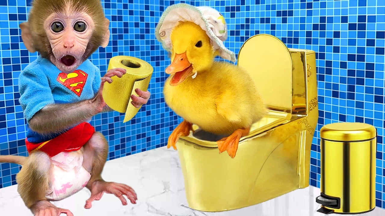 🔴LIVE -Monkey Baby Bon Bon eats rainbow jelly with puppies and bathes with ducklings in the bathroom