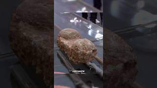 Sebuah Batu Yang Ternyata Telur Dinosaurus