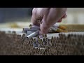 Illicit tobacco market promotes crime and violence as NSW allocates millions to law enforcement
