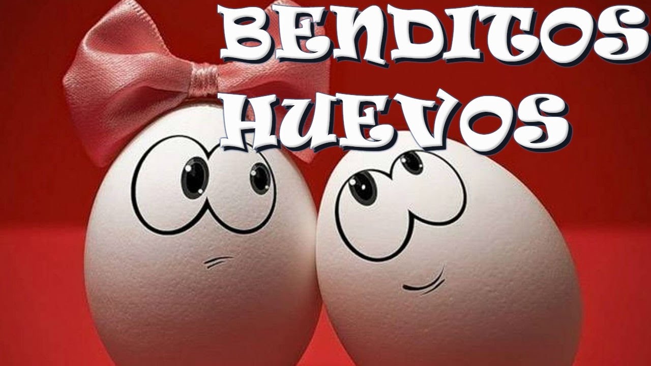 BENDITOS HUEVOS. Propiedades, calidad, cuantos comer y todo acerca del huevo. alimentación blw