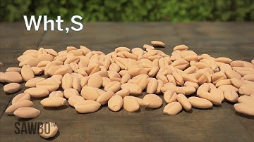 PHL Moisture Meter in English (accent from USA)