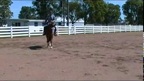 Showcasing Sharon Hartman's Horse in Terre Haute