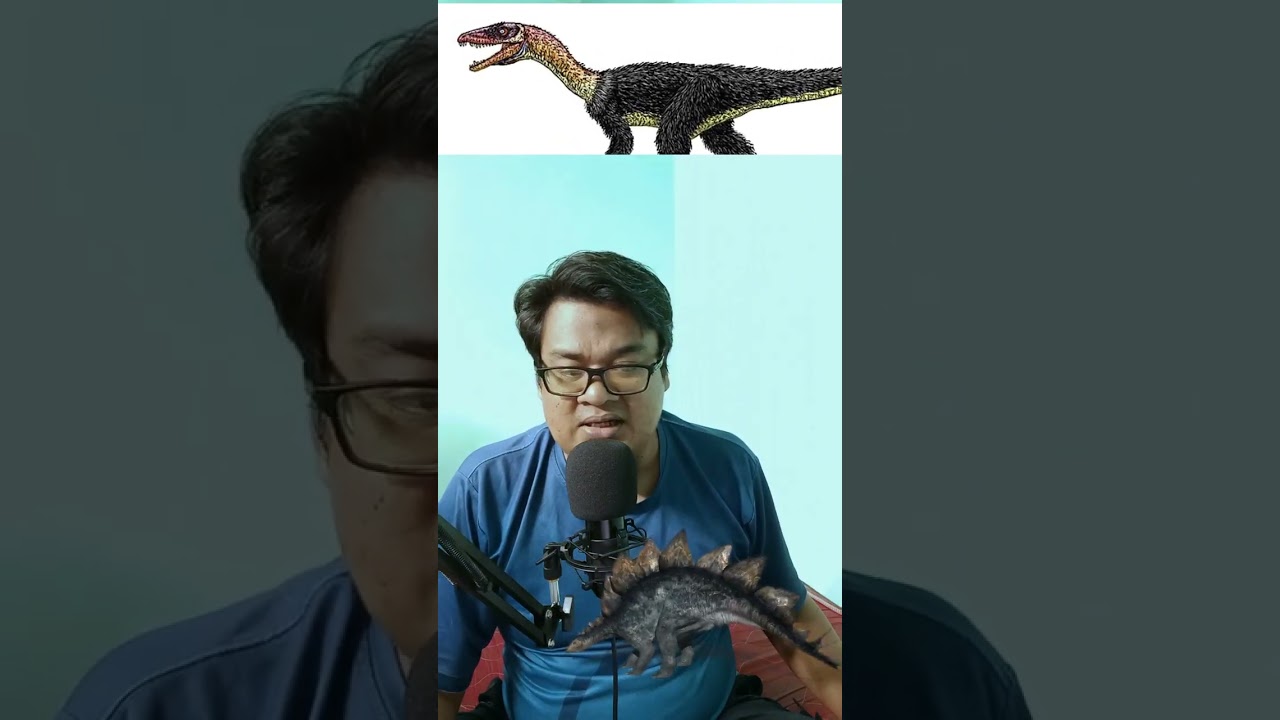 WAKTUNYA DINOSAURUS || 2  Tawa Hallae