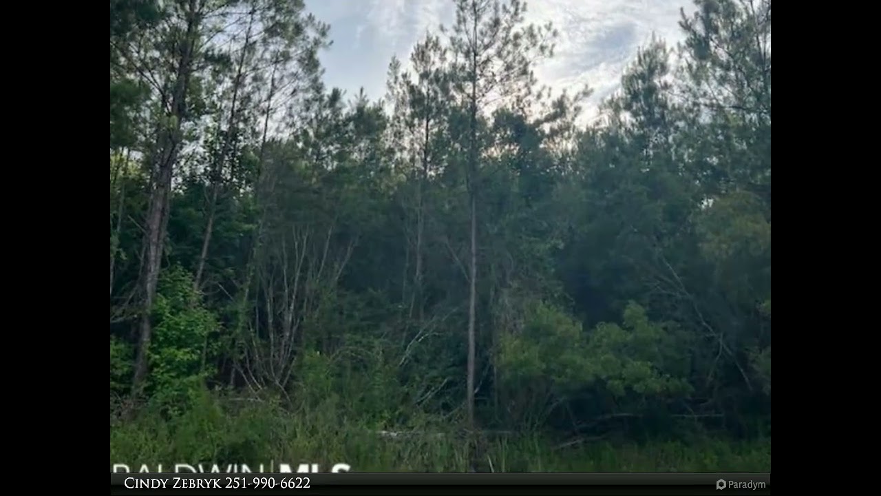 Coldwell Banker Reehl Properties, Inc - 0 Atlanta Circle