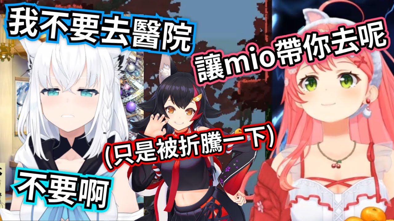 白上不要去醫院 miko建議叫狼媽陪同一起去 白上怕畜神發威更不敢去了【櫻巫女/さくらみこ/白上吹雪/白上フブキ/hololive​​/ホロライブ】