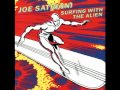 Joe Satriani Surfing with the alien!