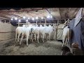 MAKKAH SUBANALLAH Please Share Viral Love Fyp Trending Mashallah Youtubeshorts Youtbe Tik 