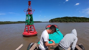 Cận Cảnh Bày Cá Bóng Sao | Chuyến Đi Trải Nghiệm Một Ngày Ở Rừng Ngập Mặn | Go Fishing In Mangrove