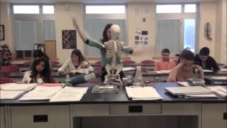 Harlem Shake (AP Bio)