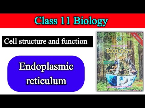 Endoplasmic reticulum || cell structure and function || class 11 bio ...