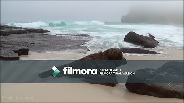 سورة الزلزلة والعاديات والقارعة والتكاثر بصوت الشيخ سعد الغامدي