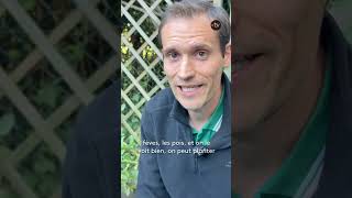 Jardinage au printemps : planter malin avant les Saints de glace