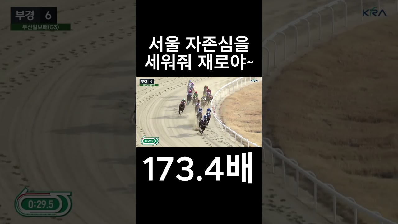 서울 자존심을 세워줘  재로야~   #경마  #경마예상  #경마방송  #경마예상방송  #서울경마  #금요경마  #토요경마  #일요경마 #경마장